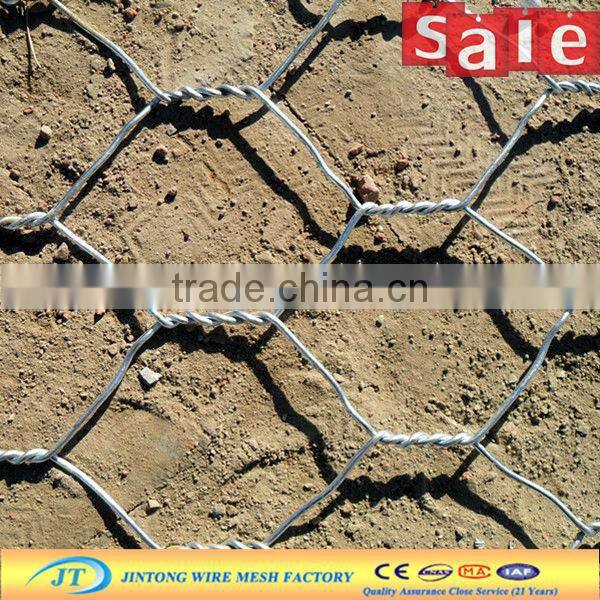 hexagonal wire mesh