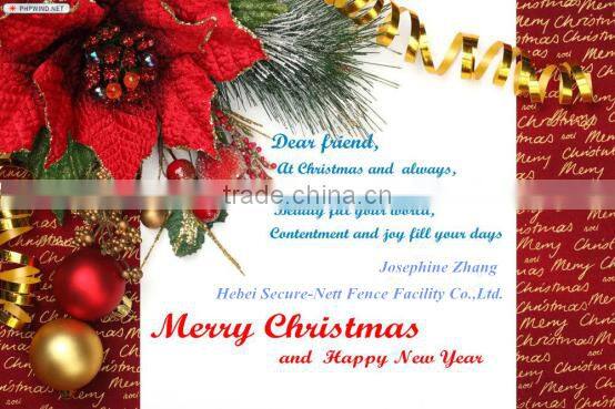 Twin wire mesh fence with double wire border metal fencing