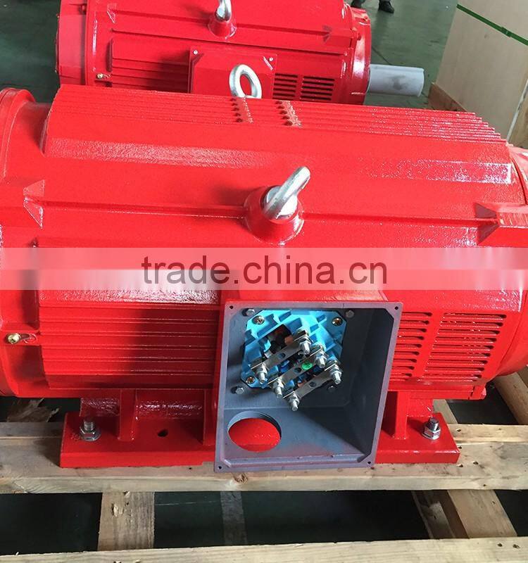 UL LISTED NEMA ODP STANDARD 250HP IE1 FIRE MOTOR (TDC447TS250U4B)