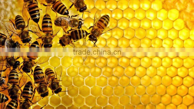 5-100ml Honey Packaging