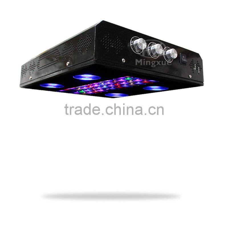 600W Noah4 Full Spectrum Indoor Plant Cob Led Grow Light