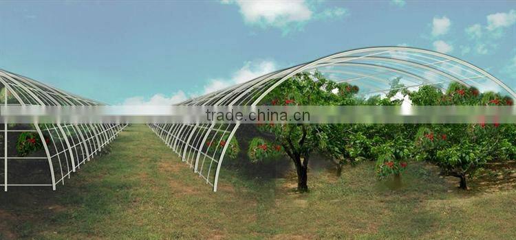 Tunnel Greenhouses With Supporting Systems