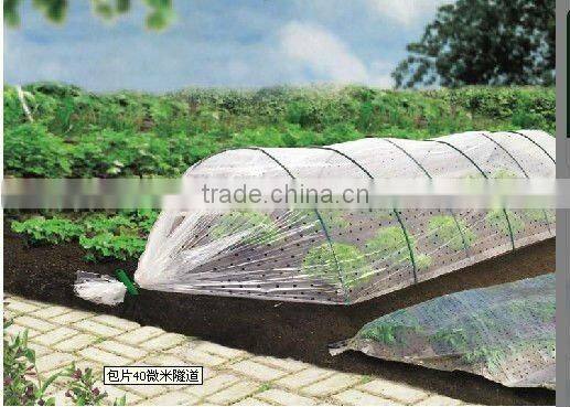 qingdao high quality PE tube flm for plantation