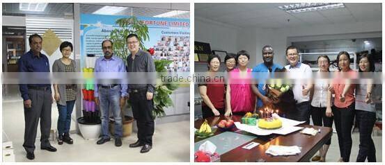 Supply PPR pipe fittings 90 degree elbow