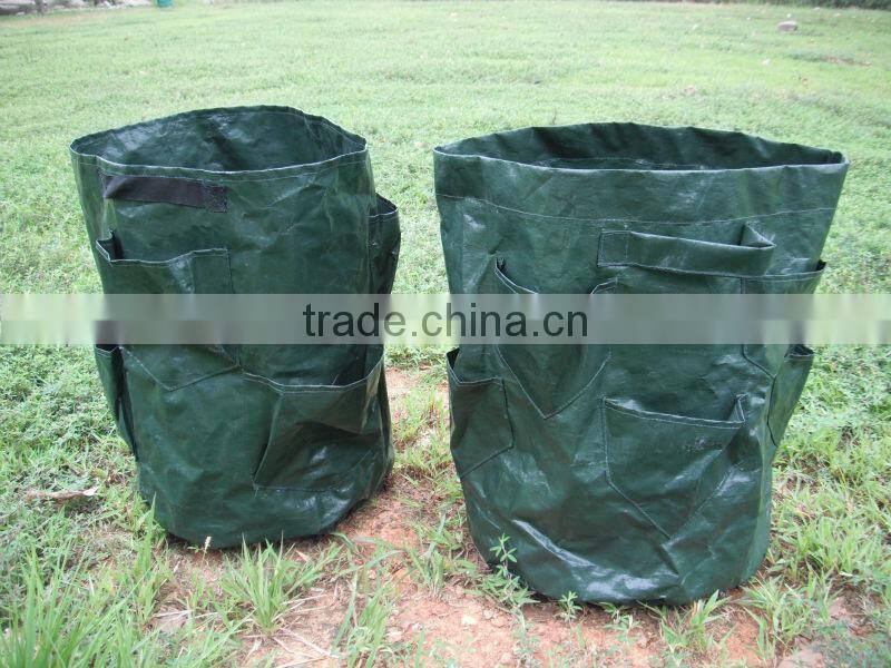 PE Green Herb Grow Bag,Herb Planter With Pockets