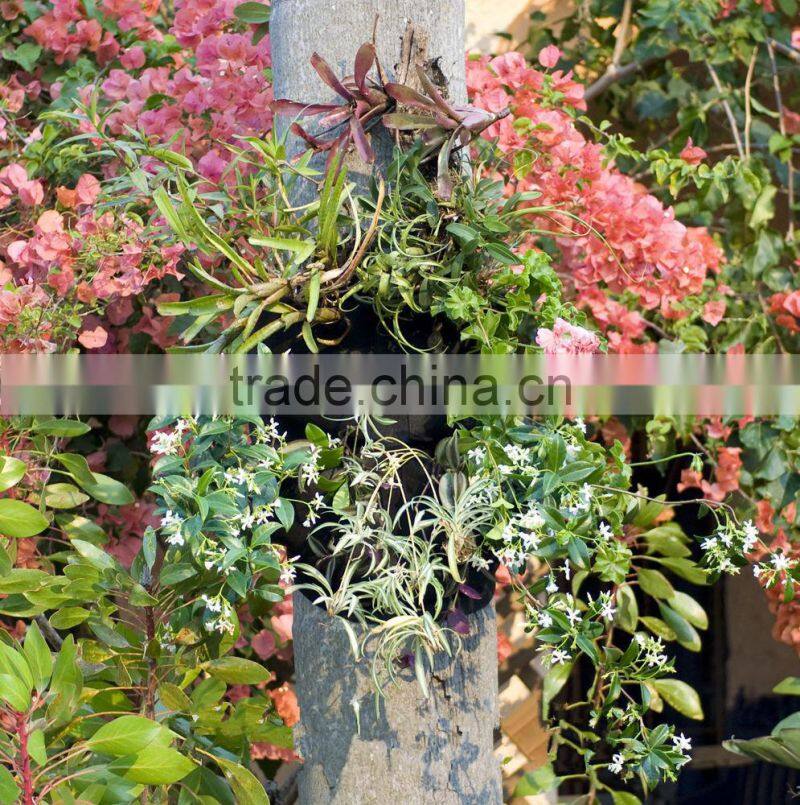 High Quality Vertical Wall Garden Pots,Indoor Planter,Wall Mounted Flower Pot,Wall Mount Planter