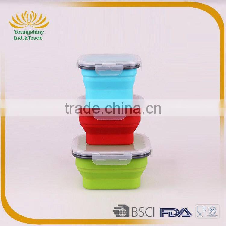 Silicone collapsible biodegradable lunch box