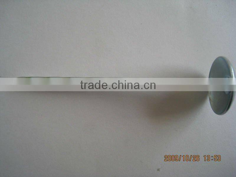 Roofing Nails with Umbrella Head