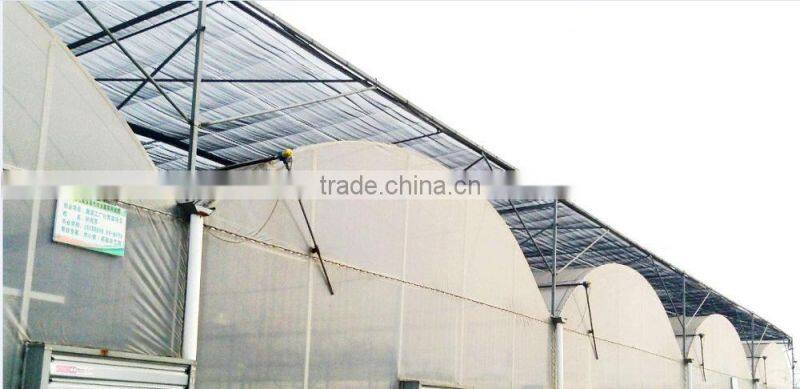 Easy assembled comericial poultry breeding greenhouse