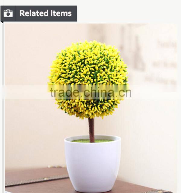 White potted evergreen plants table centerpiece tree