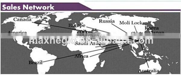 New arrival fashion women winter long fox fur coat