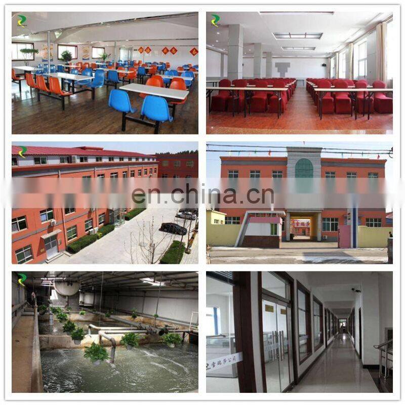 top ten best supplier cheap double down sleeping bag