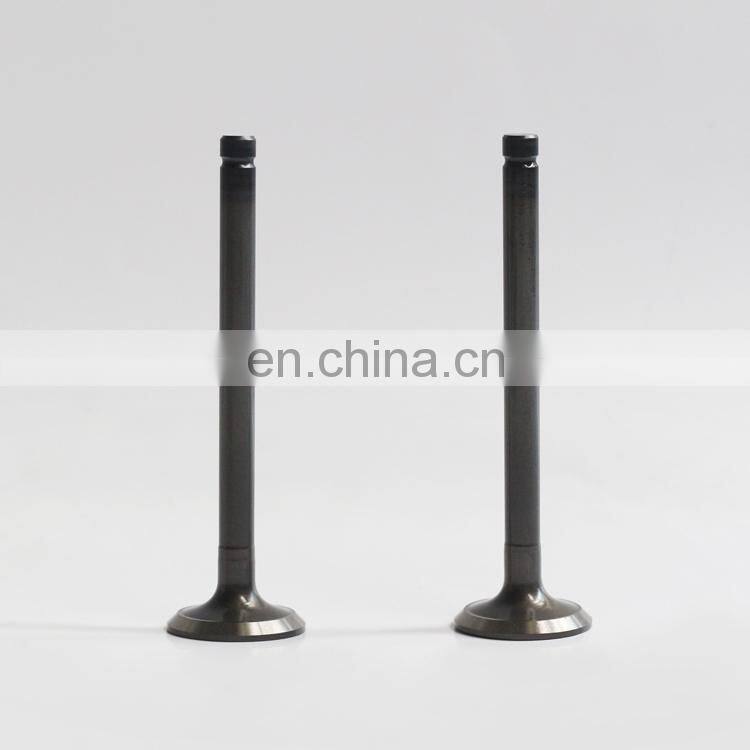 Forklift Excavator Machinery Engine A1400 A1700 A2300 Parts Exhaust Valve 4900338 4900337