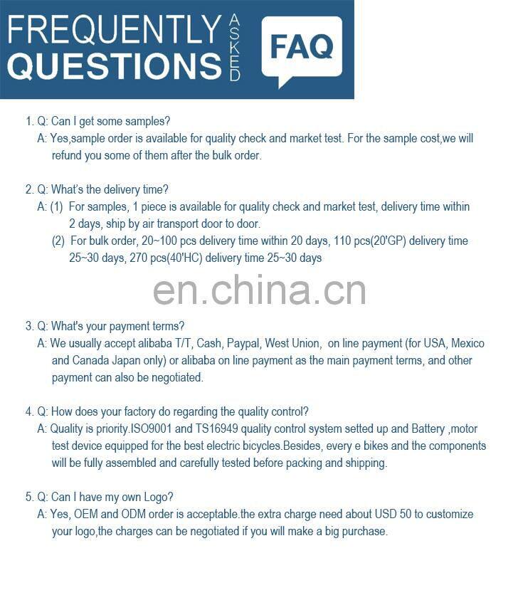 Customizable Electric Long Range Maximum 100KM Mountain Bike with LCD Display 100-240V Smart E-bicycle BEBFR26DM