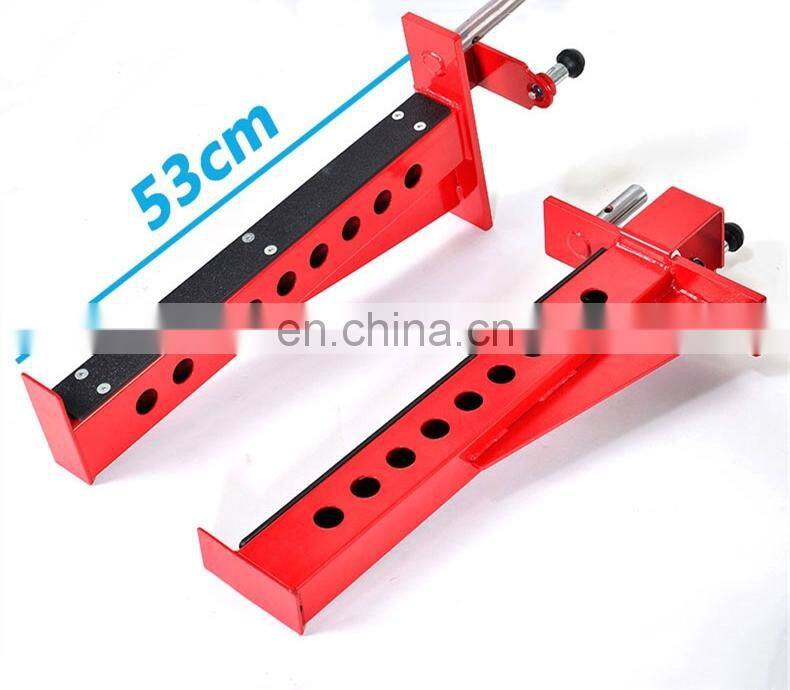 Crossfit gym equipment rig for body building