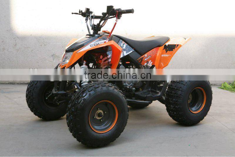 125cc Engine Gas Quads Bike with CE