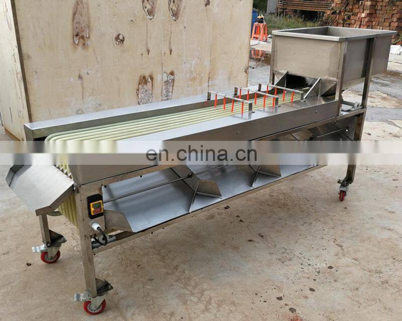 Full Automatic dragon fruit sorting machine cleaning sorter belt sorting equipment