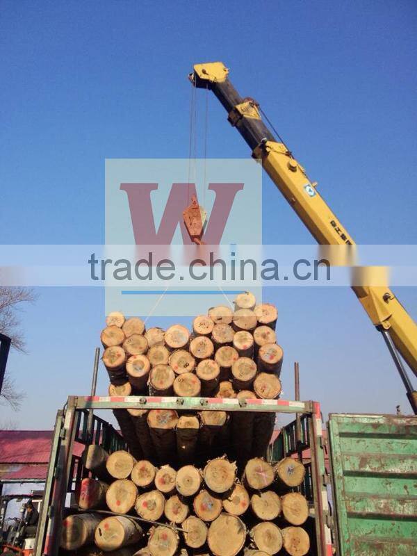 brich wood skewer stick