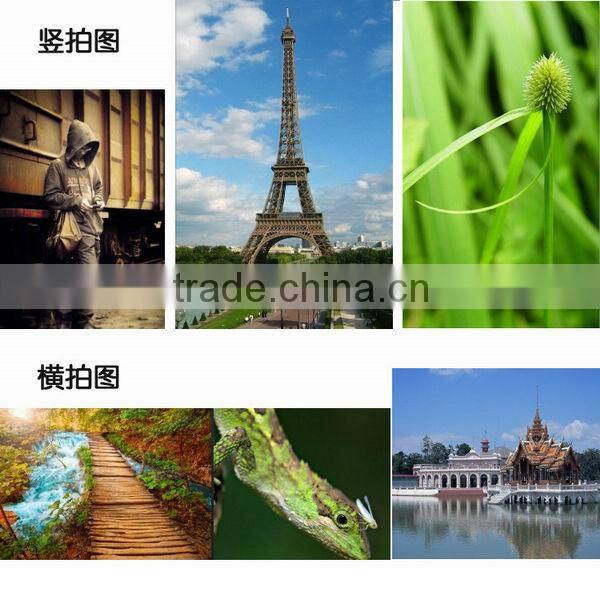 Commlite Camera accessories DSLR Camera Battery Grip For Canon 1100D