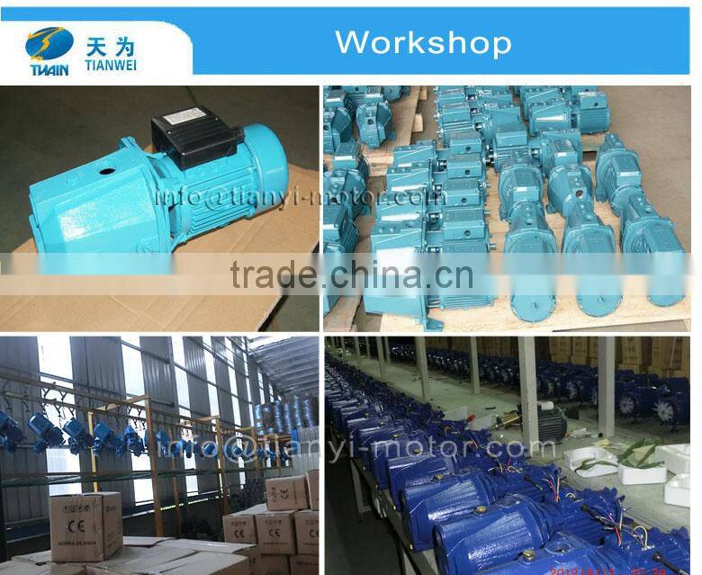 220V Electric Domestic Jet Pump Garden Price