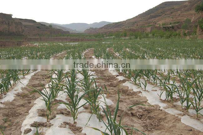 8 row no till Precision pneumatic garlic planting seeder machine for various land