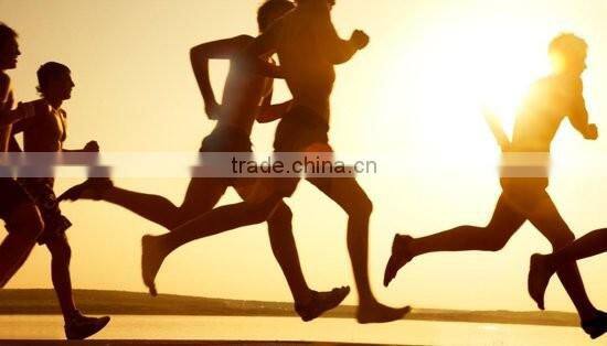 New design sport running belt private label fitness belt