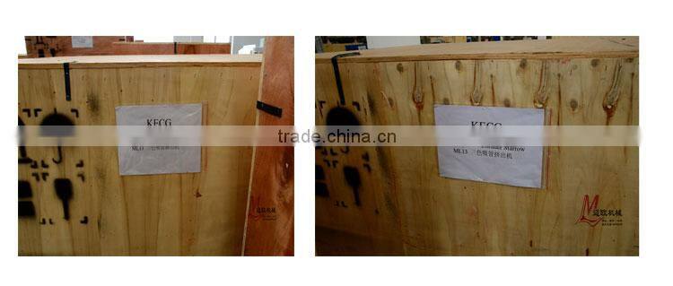Double wheel traction motor double disc cutting machine