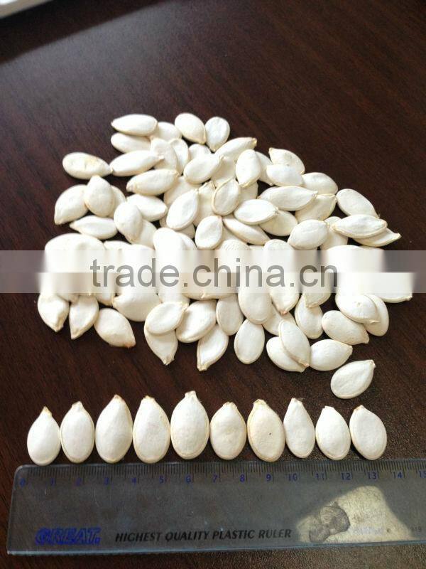 Hot Products Pumpkin Non-Edible Seeds