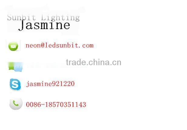 Dome Surface Led Pixel Flex Neon Light for Walkway Guiding-Line