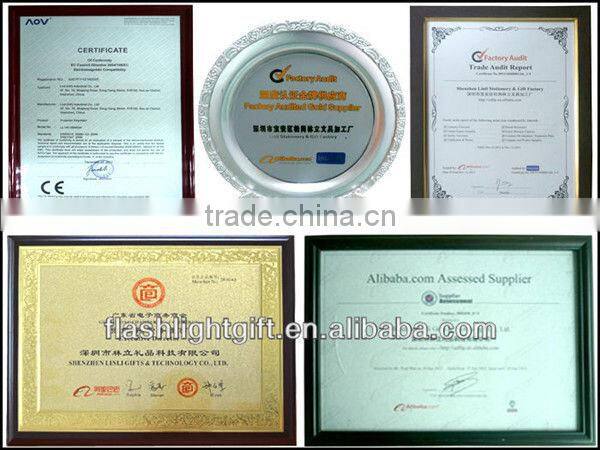 Portable Capsule Shape Led Vibration Tumbler Light