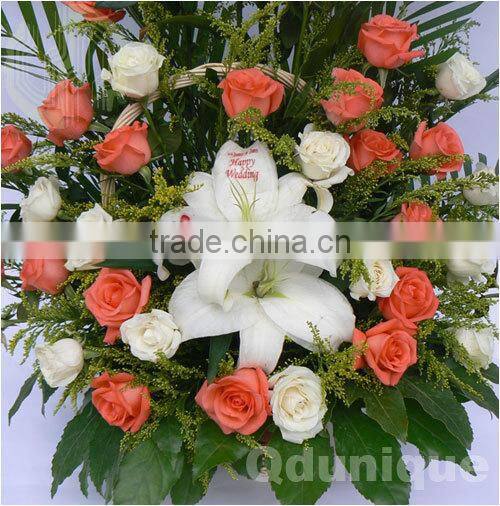 Electric Power Supply and Digital Flower printer
