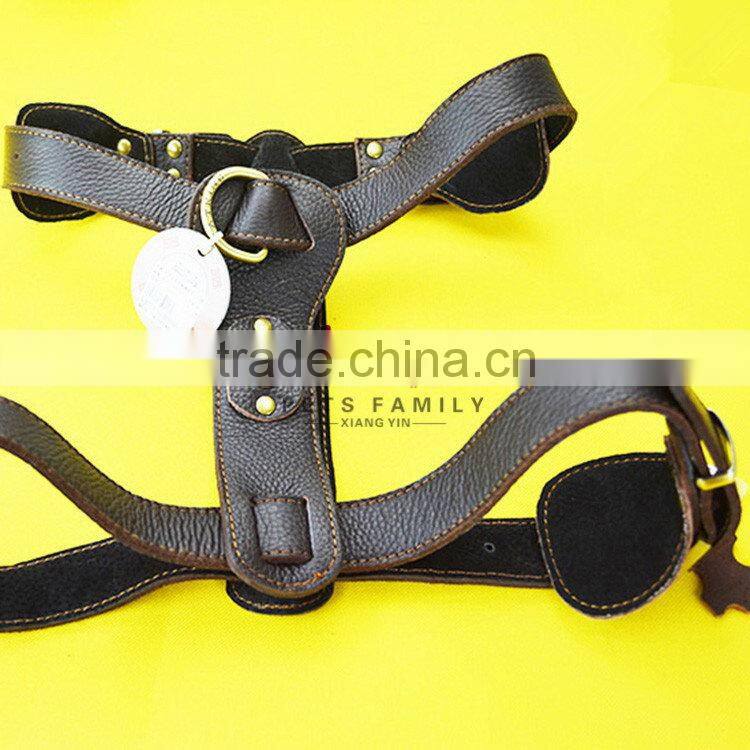 Designer classical dog body harness