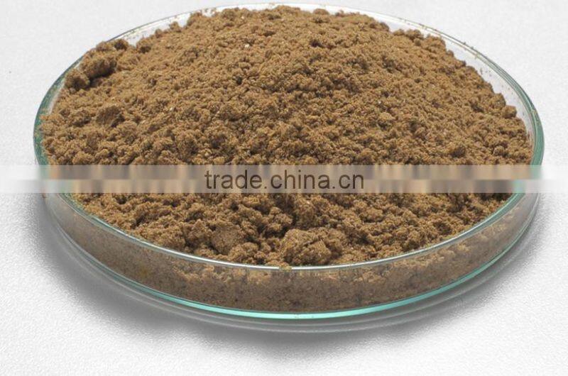 High quality Indian spices