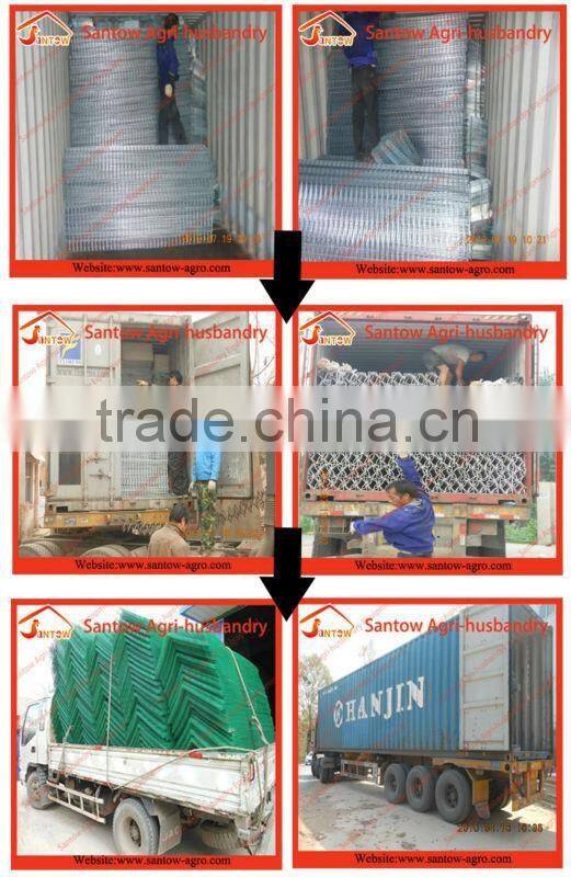 Chicken use welded wire chicken layer cages chicken farm equipment 120 birds