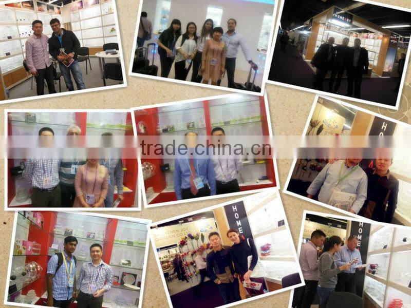 wholesale new homeasy pyrex glass large food steamer for cooking