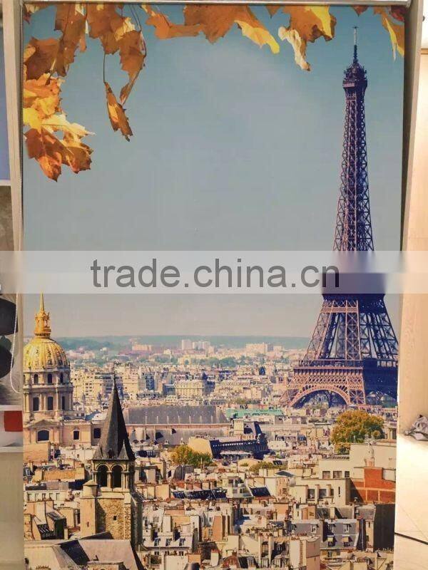 3D digital printed wall paper,roller blinds for windows