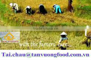 HACCP rice-Best price 504 Long Grain White Rice 15% Broken