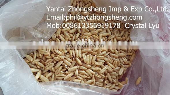 overnight oats hulled oats for made oatmeal