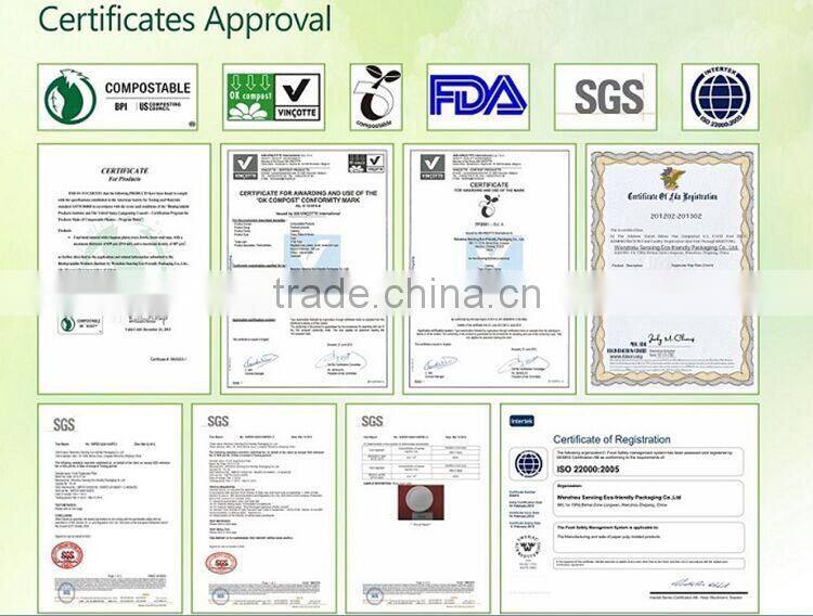 Christmas dinner paper tableware