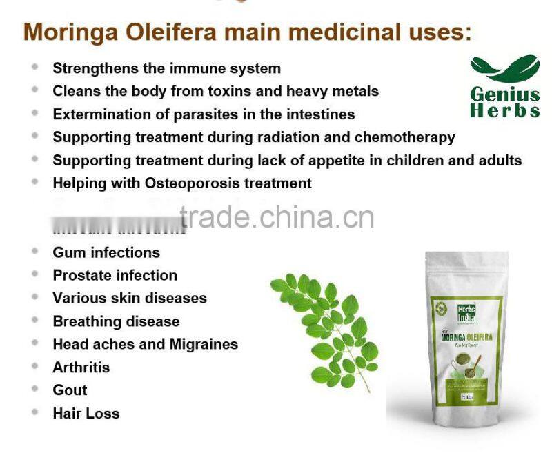 Super Organic Moringa Oleifera Capsules for Bulk Suppliers