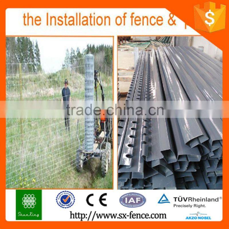 Woven Sheep wire fencing