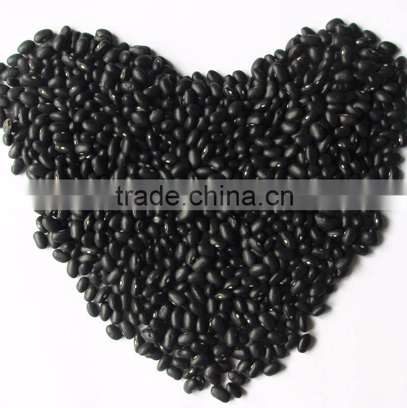 Private Label Organic Hulled Hemp Seed,Hemp Seeds,Shelled Hemp Seeds