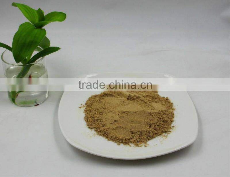 Pure natural Shitake Mushroom Powder / Shitake Mushroom Extract / Polysaccharides