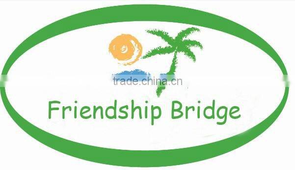 Fresh cut Chrysanthemums flower