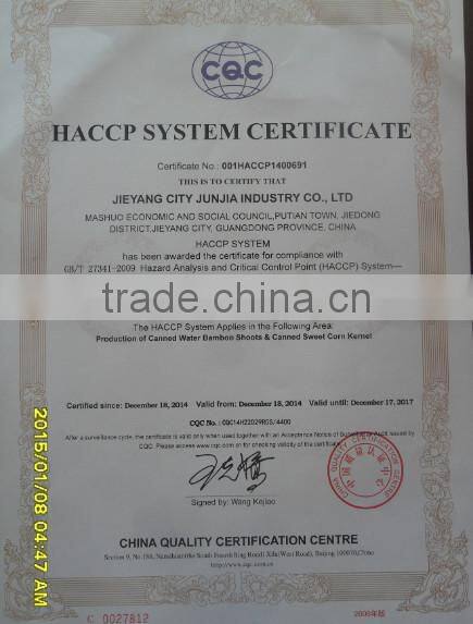 Canned bamboo shoots strips slices 2015.1.11