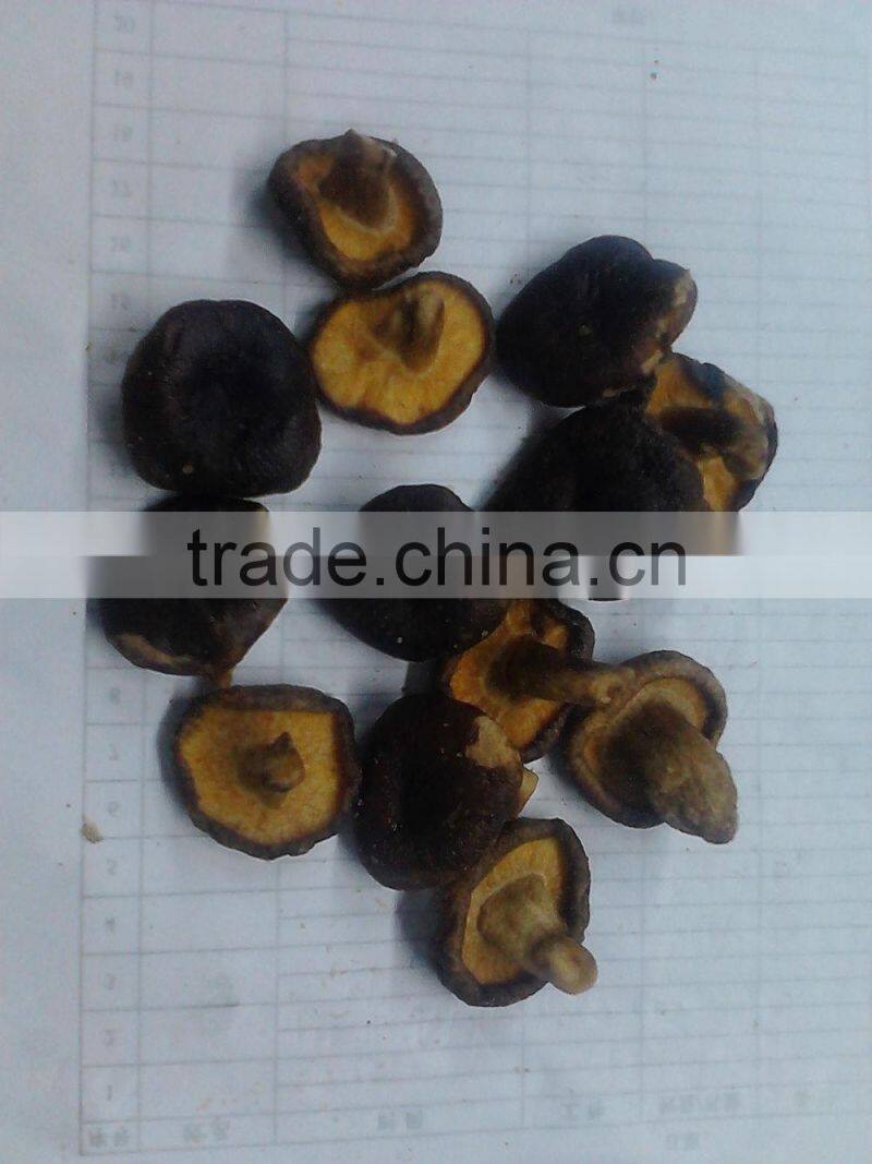vacuum fried shiitake chips