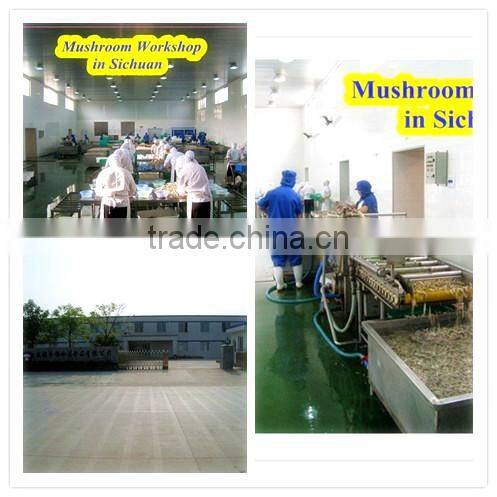 Canned whole button mushroom, mushroom champignon