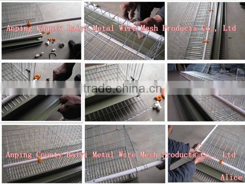 egg chicken coops cags