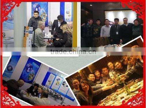 Chinese Supplier Lotton Taper Roller Bearing LL639249