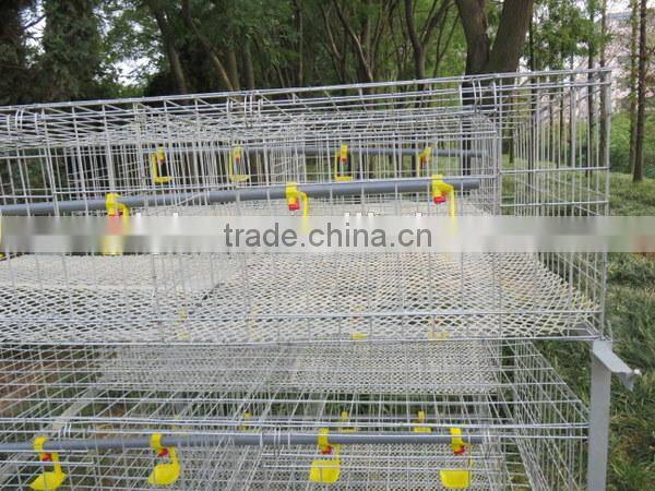 Chicken Coop / Chicken House / Mobile Chicken Cage for Sale